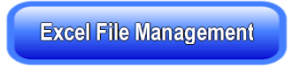 Excel File Management